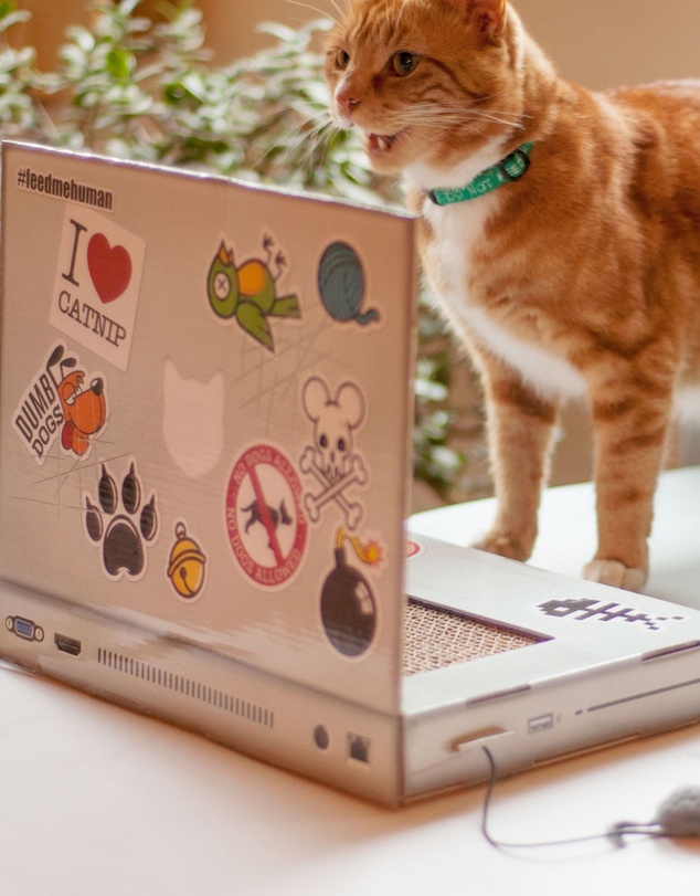 Suck UK - Cat Playhouse Scratch Laptop
