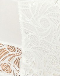 Sans Complexe - Ariane Lace & Microfiber High Waist Brief
