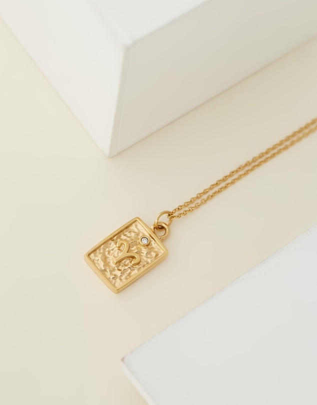 Carly Paiker - Aries Star Sign Zodiac Tag Necklace