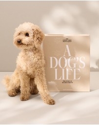 Printworks - Printworks Dog Album-A Dogs Life
