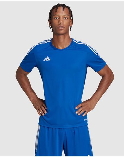 Royal Blue / White