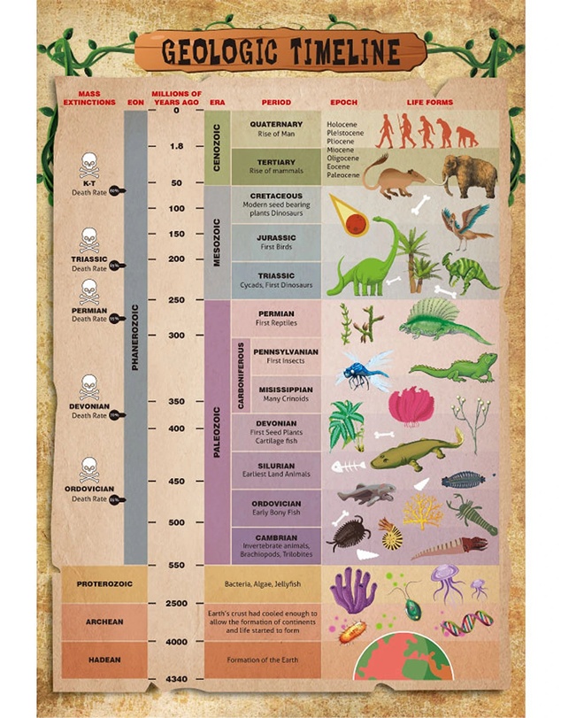 Wonderstuff - Exploring Prehistoric Life Kit