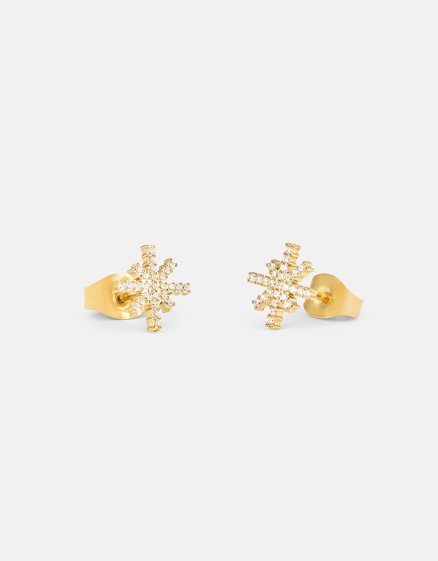 Daniel Wellington - Mirelle Star Earring G