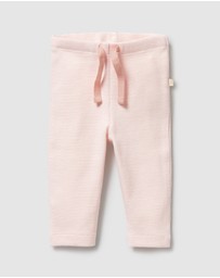 Wilson & Frenchy - Organic Stripe Rib Leggings - Babies