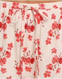 Petal & Pup - Lux Pants - Red Blossom