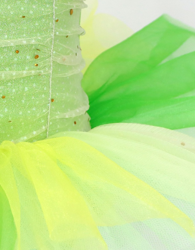 Disney Princess by Pink Poppy - Disney Princess Tiana Sparkling Tutu Dress
