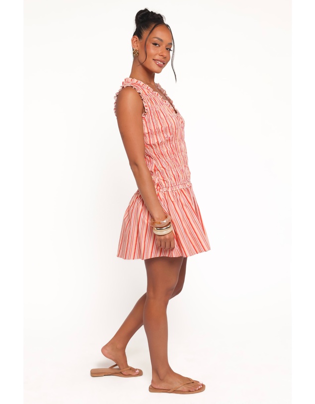Petal & Pup - Leabrook Mini Dress - Peach Stripe