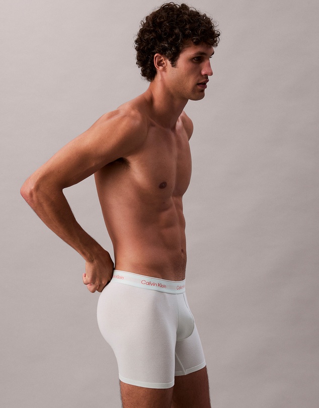 Calvin Klein - Icon Cotton Stretch 3 Pack Boxer Briefs