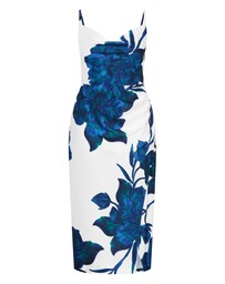 City Chic - Mariana Print Dress