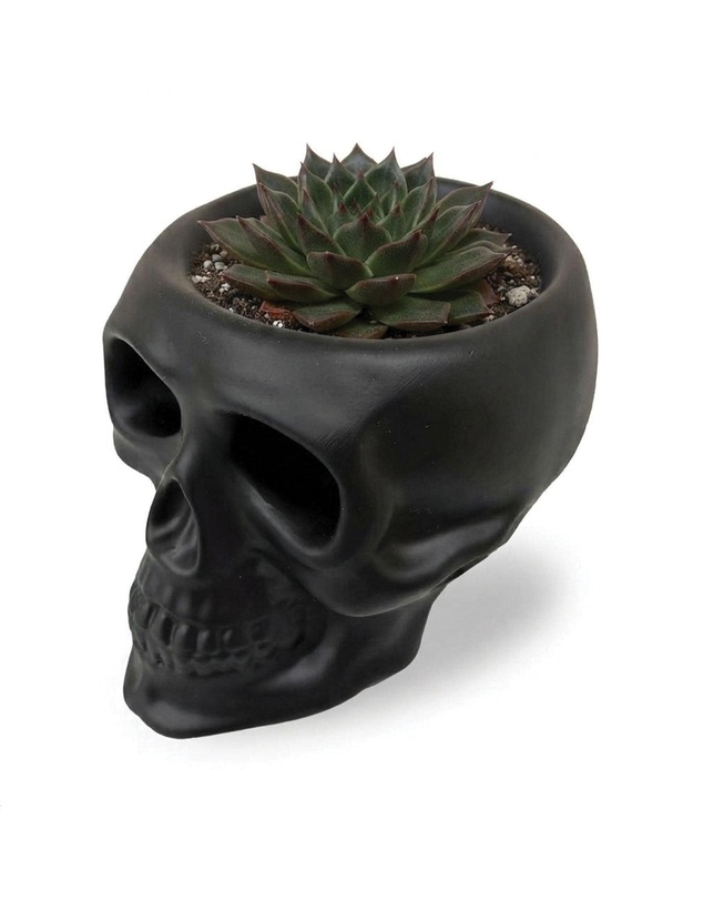 Urban Attitude - Urban Attitude Skull Statue - Matte Black