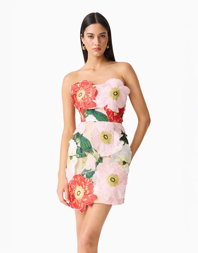 Elliatt - Solara Mini Dress