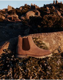 Aquila - Canyon Suede Chelsea Boots