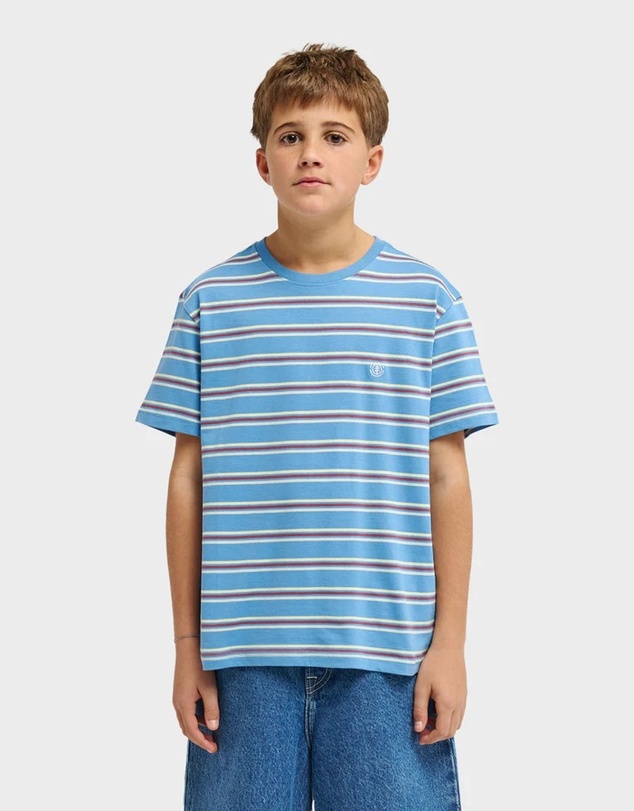 Element - Boys 8 to 16 Icon Embroidery T-Shirt