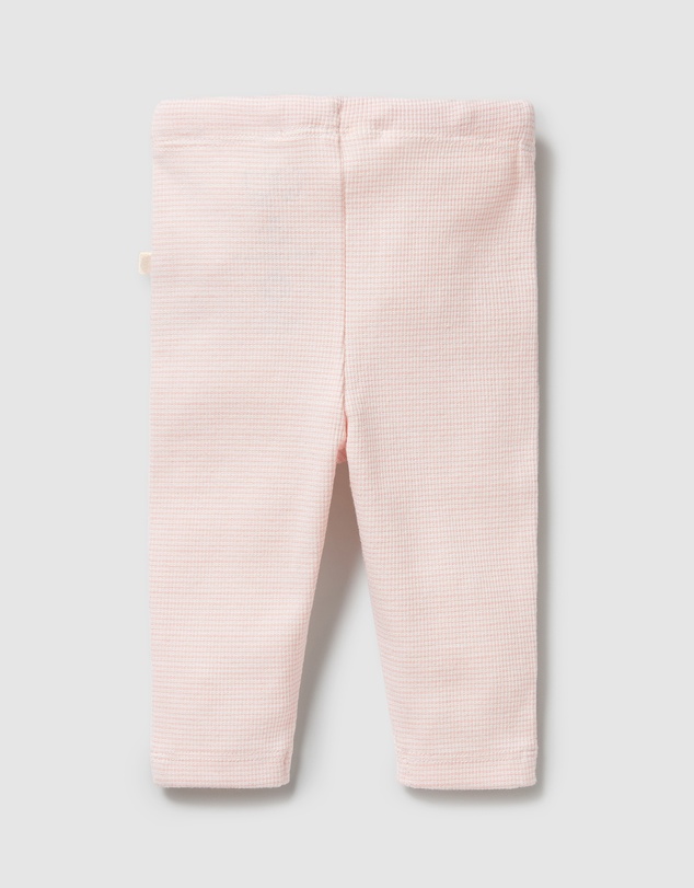 Wilson & Frenchy - Organic Stripe Rib Leggings - Babies