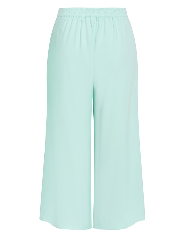 City Chic - Plus size Abbie Fully Lined Wide Leg Pant - spearmint