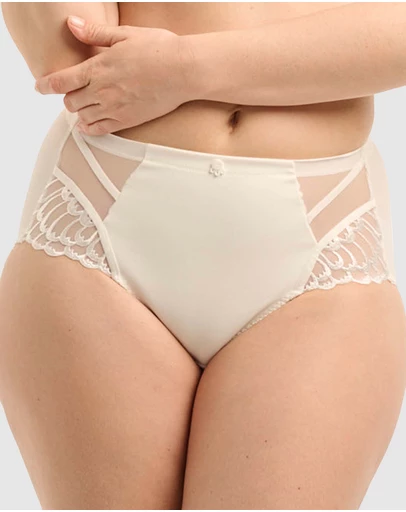 Sans Complexe - Narcisse Plus Size High Waist Shaping Brief
