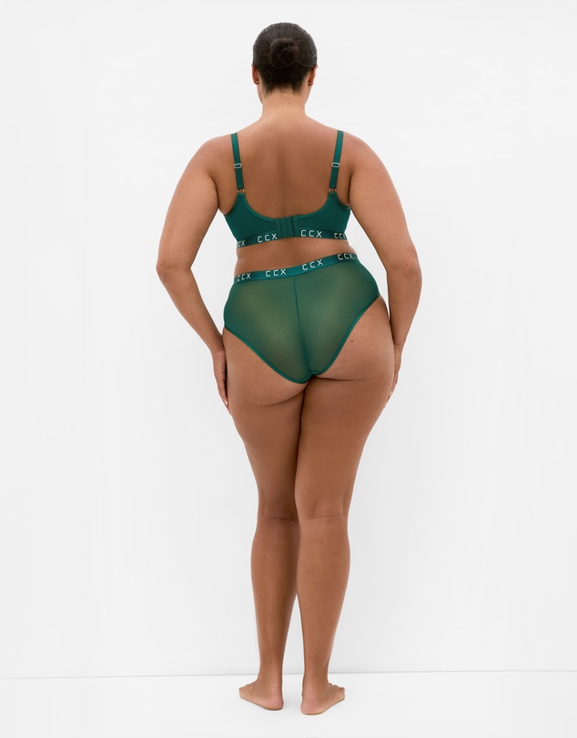 City Chic - Signature Lace Cheeky Panty