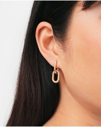 Daniel Wellington - Crystal Link Earrings