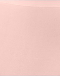 Parfait - Bonded High Cut Seamless High Waist Brief