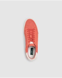 Rodd & Gunn - Sussex Street Sneaker
