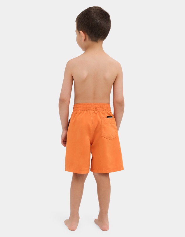 Quiksilver - Boys 2 to 7 Everyday Vert 13