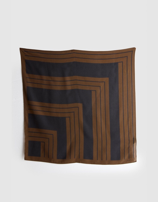 Evity - Silk Scarf Stripe Print