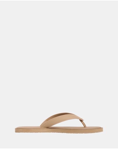 Safari Canvas
