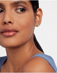 Ted Baker - Soletia Solitaire Sparkle Crystal Stud Earrings