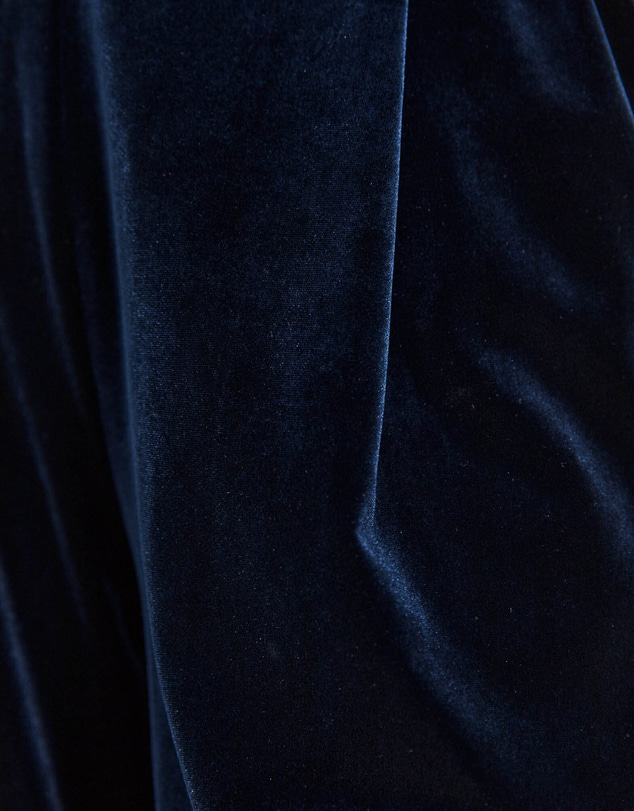 SABA - Lea Velvet Pleat Front Pant