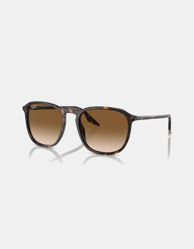 Ray-Ban - 0RB2203