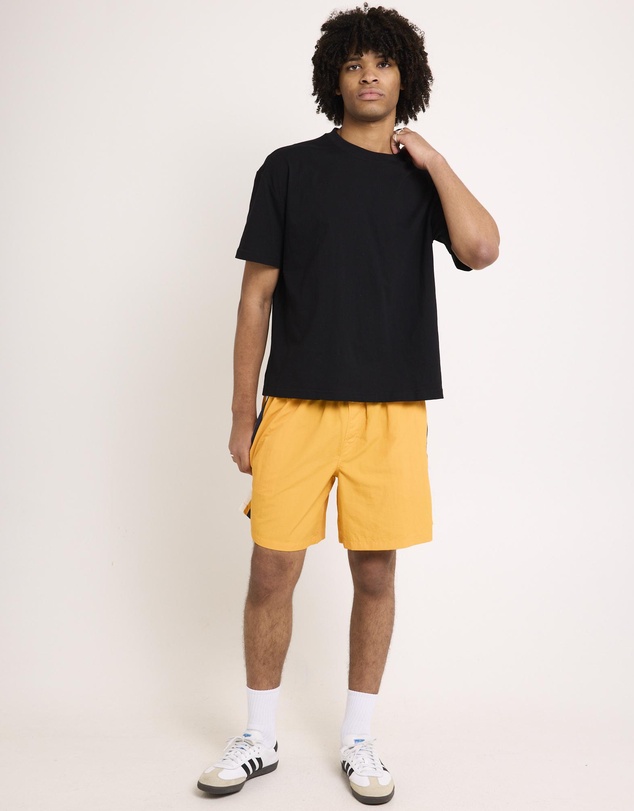 Arvust - Burleigh Swim Shorts