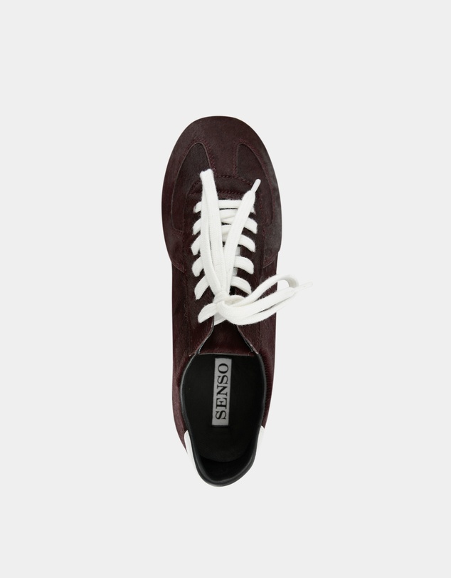 Senso - Ace I