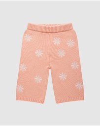 Kynd Baby - Embroidered Knit Flare Pant in Pearl