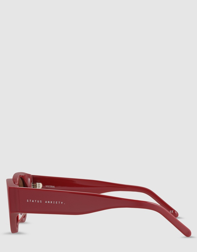 Status Anxiety - Visceral Sunglasses