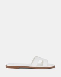 Novo - Sachie Slides