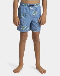 Quiksilver - Boys 8 to 16 Everyday 14