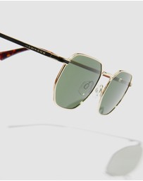 Hawkers Co - HAWKERS - Polarized Gold Aligator SIXGON Sunglasses for Men and Women UV400