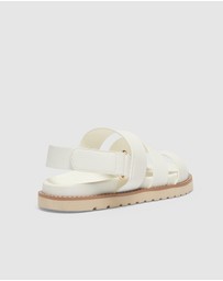 Sandler - Daisy