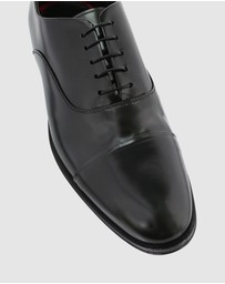 Brando - Morris Lace Ups