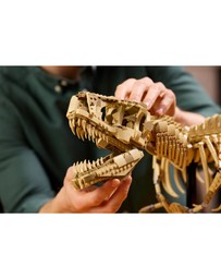 LEGO - 76968 Dinosaur Fossils: Tyrannosaurus rex