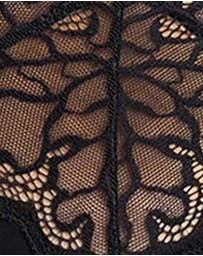 Sans Complexe - Océane Microfibre and Lace Brief