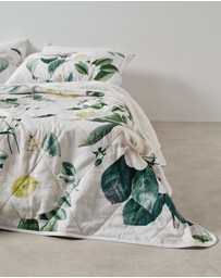 Linen House - Loretta Coverlet
