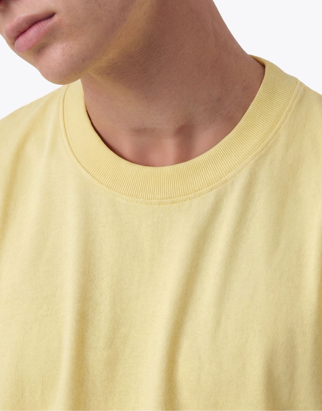 Zanerobe - Box Tee