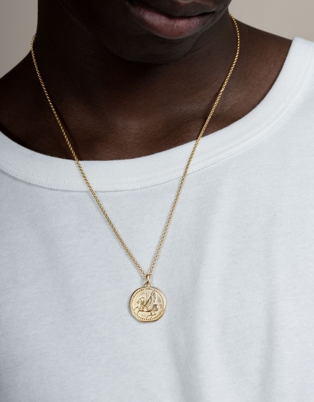 Dower & Hall - Men's 'Overcome and Thrive' Pegasus Talisman Necklace In Gold Vermeil