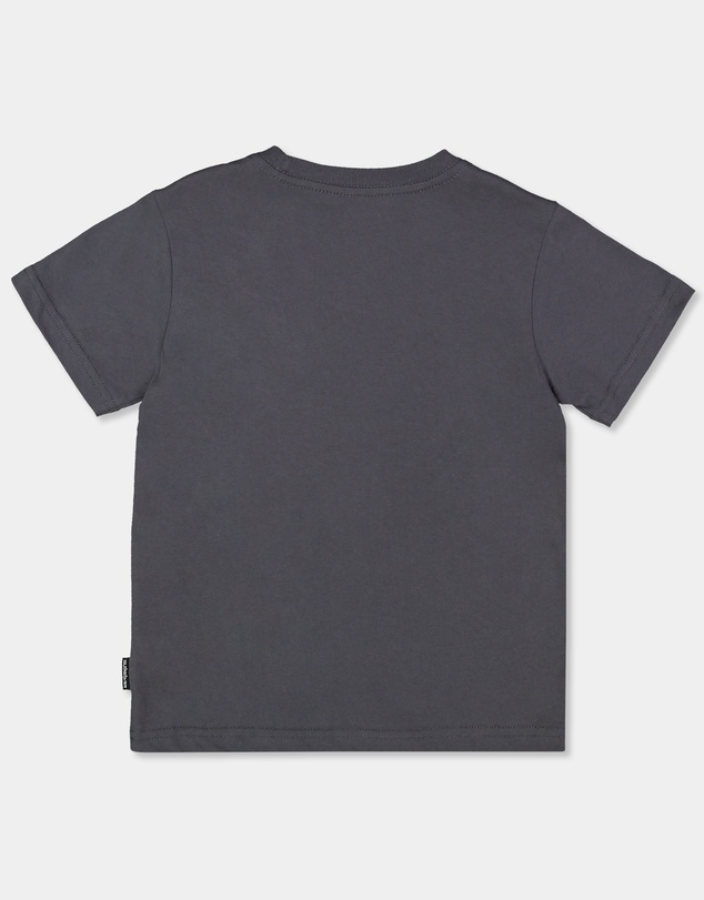 Quiksilver - Boys 2 to 7 Omni Terra T-Shirt