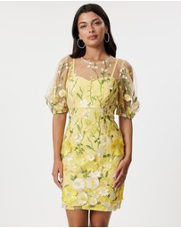 Honey and Beau - Enchanted Garden Dress