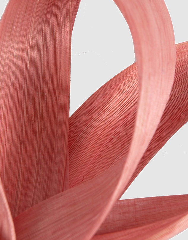 Fillies Collection - Coral Silk Abaca Loops Racing Fascinator