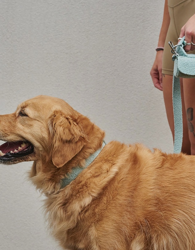 Lilly + Dash - Boucle Dog Poop Bag Holder