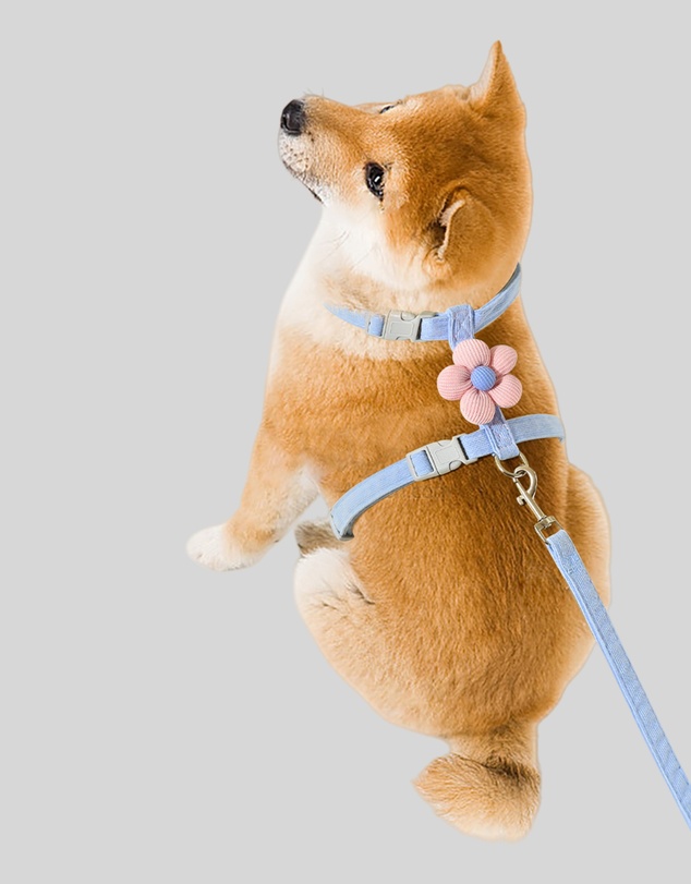KAJA Clothing - Blossom Pet Harness