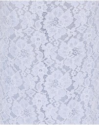 Petal & Pup - Jennings Lace Maxi Skirt - Blue Sequin